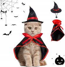 Halloweenský kostým pro kočky, psi a malá zvířata, (netopýr)