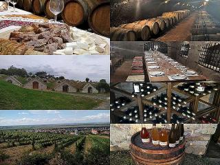 Zážitkový výlet do Tokaje pro 2 osoby, 4 dny, 3 noci, *** rodinný pension (Gastronomické, historické a vinné toulky Tokajským vinařským regionem s jediným českým historikem a amaterským vinařem zde žijícím!)