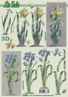3D papír A4 - Narcis a iris