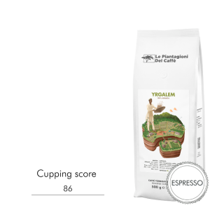LPDC Yrgalem - Etiopie: Espresso 500 g