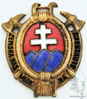 Malý lodičkový Hasičský odznak -Slovensko