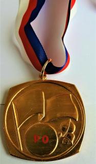 Medaile SSM - Pionýr zlatá