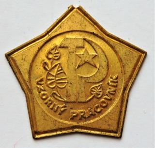 Medaile Vzorný pracovník