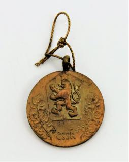 Medaile Za službu vlasti