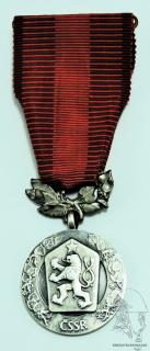 Medaile Za zásluhy o obranu vlasti AG - Stříbro