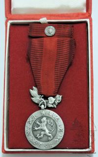 Medaile Za zásluhy o obranu vlasti, I. vydání, stříbro, punc., Zukov