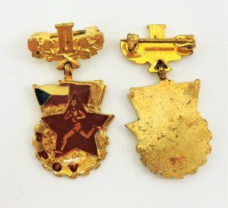 Odznak - PPOV - II - Malý zlatý