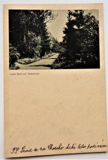 Pohlednice Lázně Bělohrad: Zámecký park 1936