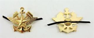 Rozlišovací odznak železniční vojsko zlatý 1ks