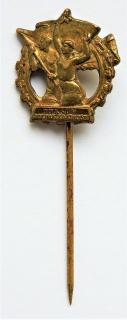 Tyršův odznak zdatnosti miniatura mosaz na jehlu