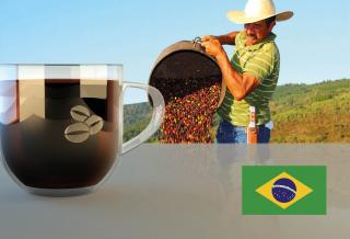 Brazil Caramelo Doce Fazenda Paraiso Hmotnost: 1 kg, Hrubost namletí: Hrubé (překapávač, chemex, vakuum pot), Typ pražení: Tmavé