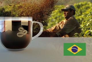 Brazil Catucaí José Pereira 2nd Place Arabica Hmotnost: 250 g, Hrubost namletí: Velmi jemné (džezva), Typ pražení: Střední