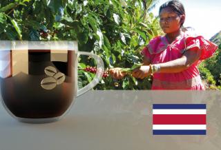 Costa Rica SHB Tarrazú La Pastora Arabica Hmotnost: 250 g, Hrubost namletí: Zrnková káva (namelete doma), Typ pražení: Střední