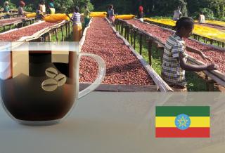 Ethiopia Limu Gr. 2 Arabica Hmotnost: 1 kg, Hrubost namletí: Zrnková káva (namelete doma), Typ pražení: Střední