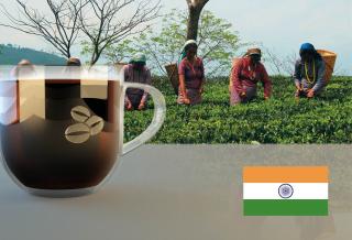 India Robusta Monsooned Malabar AA Hmotnost: 1 kg, Hrubost namletí: Zrnková káva (namelete doma)