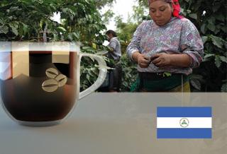 Nikaragua SHG Jinotega Faz. Los Potrerillos Arabica Hmotnost: 1 kg, Hrubost namletí: Zrnková káva (namelete doma), Typ pražení: Tmavé