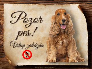 Cedulka Anglický kokršpaněl VI - Pozor pes zákaz/CP1614 Velikost: 15x11