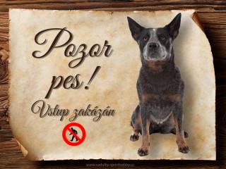 Cedulka Australský honácký pes - Pozor pes zákaz/CP1632 Velikost: 15x11