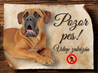 Cedulka Cane Corso II - Pozor pes zákaz/CP1656 Velikost: 27x20