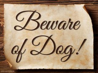 Cedulka EN Beware of Dog!/CP3017 Velikost: 15x11