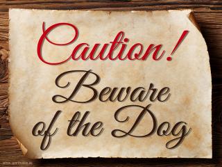 Cedulka EN Caution! Beware of the Dog/CP3020 Velikost: 15x11