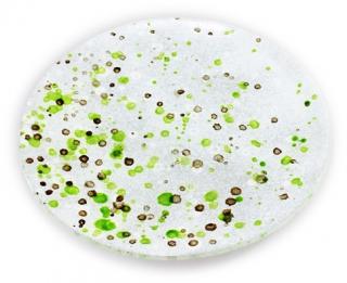 Kulatý skleněný mělký talíř COUNTRY - do zelena Průměr: 20cm