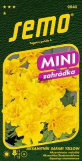 Aksamitník rozkladitý - Safari Yellow 30s - série MINI