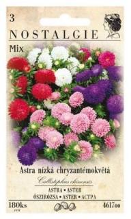 Astra nízká chryzantémokvětá Mix - NOSTALGIE