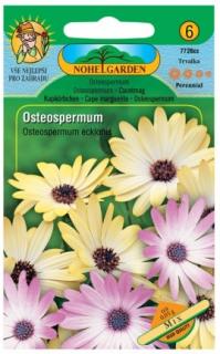Osteospermum, směs - NOHEL GARDEN