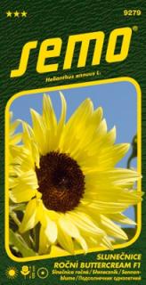Slunečnice roční - Buttercream F1 10s