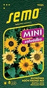 Slunečnice roční - Pacino mix 15s - série MINI