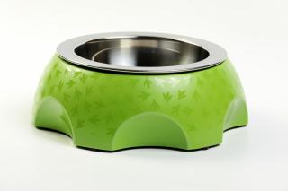 Plastová miska s nerezovým vnitřkem KIWI WALKER Cheese Bowl zelená 9x25,5cm