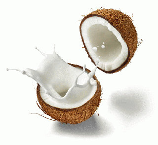 LifeLike Kokosové mléko sušené 250g