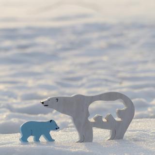 Máma a mimi - lední medvěd