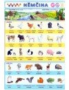 Obrázková němčina - Zvířata