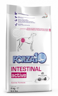 Forza10 INTESTINAL active 10 kg