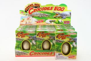 Tesání vejce krokodýl