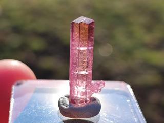 Rubelit - růžový turmalín, drahokamový krystal