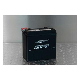 MCS, Advance Series - AGM sealed battery. 12V, 14Ah, 220CCA