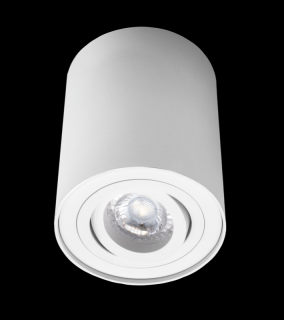 CENTURY ESSENZA LED stropní svítidlo GU10 bílé