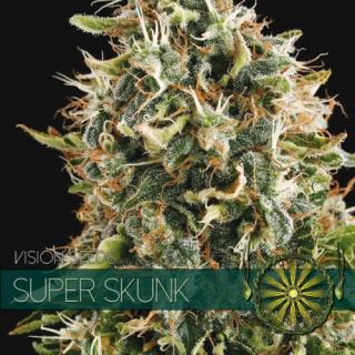 Vision Seeds Super Skunk 0% THC Balení: 10 ks