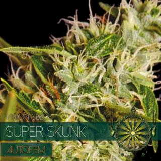 Vision Seeds Super Skunk AutoFem 0% THC Balení: 10 ks
