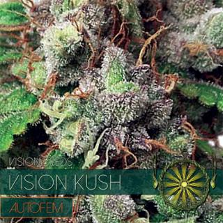 Vision Seeds Vision Kush AutoFem 0% THC Balení: 1 ks