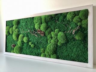 mechový obraz - 110x50 cm - bělený dub
