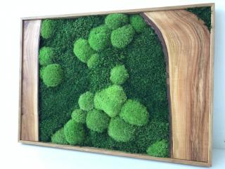mechový obraz 50x70cm s třešňovým dřevem