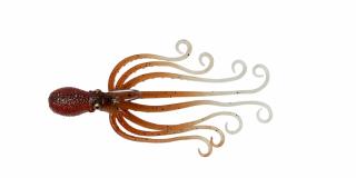 Gumová chobotnice Savage Gear 3D Octopus 16cm 120g Barva: Brown Glow