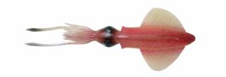 Oliheň Savage Gear 3D LB Swim Squid 18cm 32g 2ks Barva: Pink Glow