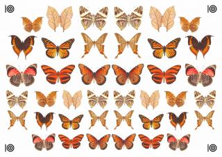 Motýli - oranžoví - A4 - 00326 Materiál: Fondánový list + Výřez