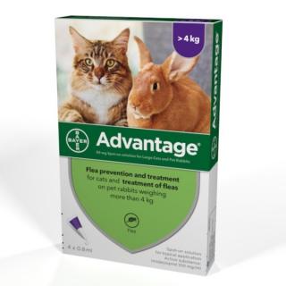 ADVANTAGE 80 10% pro kočky a králíky nad 4 kg 4x0,8ml