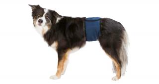 Břišní pás na podložky pro psa samce tmavě modrý - různé velikosti Velikost cm: vel. L, obvod pasu 55-65cm
